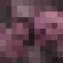 tomyjenny78