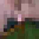 niccy67