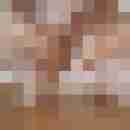 satiner