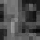 Phorus