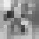 Phorus