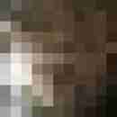 exib1