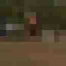 Egbert66