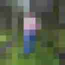 cumlicker