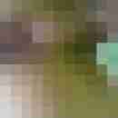 Gepierct21