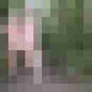 ruedi_wolf
