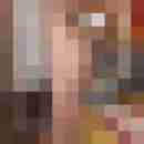 stierodin53