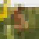 9 Bilder von chris_iris