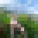 cumlicker