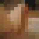patte83