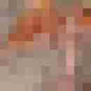 Carlchen