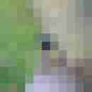 nackter55