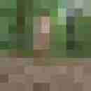 pimperion