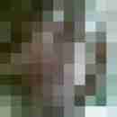 alexander00222