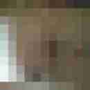 nettespaar4046