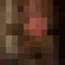 Phorus
