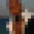 Black_Schwanz