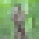 stierodin53