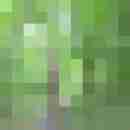 stierodin53