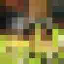 molly_maus