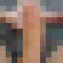 stier130560