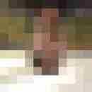 Ander_31