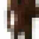 dom_muskel