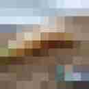 Randy84