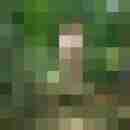 pimperion