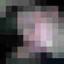 AlexN