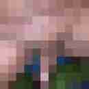 niccy67