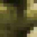 why_not2009