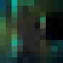 why_not2009