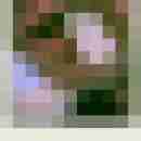 hedonist