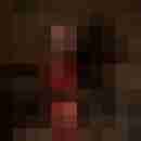 Phorus