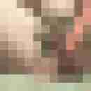bunte8