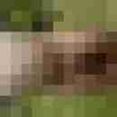 exib1