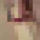 patte83