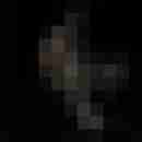 casi83