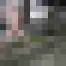 seemann0706