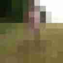 pimperion