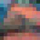 molly_maus