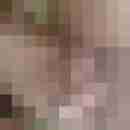 exib1