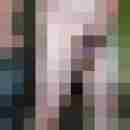 pimperion
