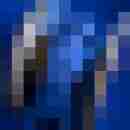 Phorus