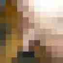 ressip53