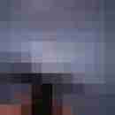Wallander61