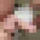 hansl_hans