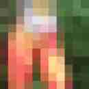 gert666