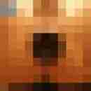Randy84